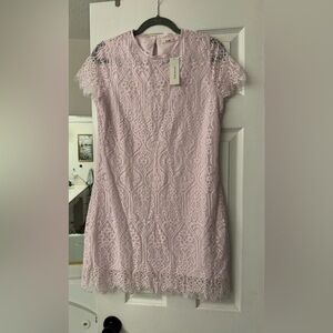 Francesca's Collections Lavender Flutter Sleeve Sheath Dress